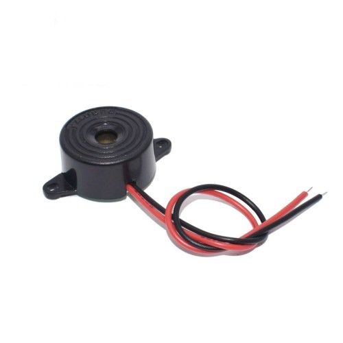 Buzzer 612V c/w Wire